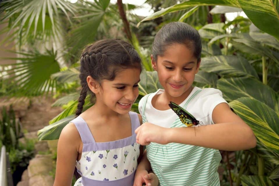 Niagara Falls Butterfly Conservatory Ticket